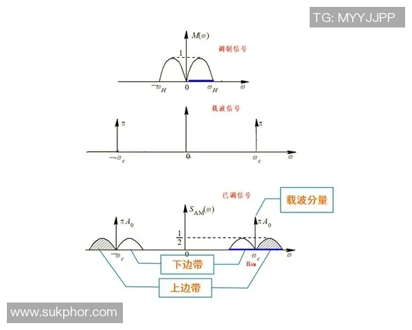 深入解析am与vs的含义及其在不同语境中的用法与区别