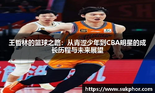 王哲林的篮球之路：从青涩少年到CBA明星的成长历程与未来展望