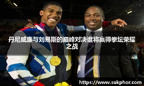 丹尼威廉与刘易斯的巅峰对决谁将赢得拳坛荣耀之战